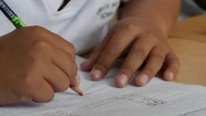Education Savings Plan Options in Kenya A Comprehensive Guide